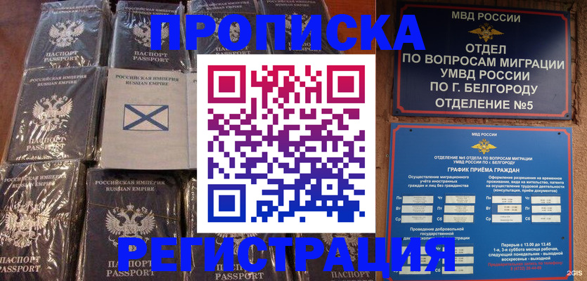 прописка гарантия в Апшеронске